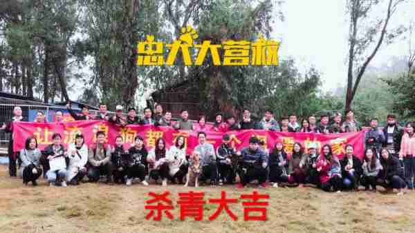 忠犬大营救-第5张图片-九妖电影