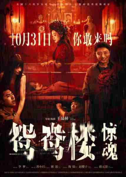鸳鸯楼·惊魂-第1张图片-九妖电影 鸳鸯楼·惊魂-第1张图片-九妖电影