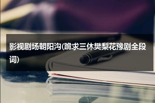 影视剧场朝阳沟(跪求三休樊梨花豫剧全段词)（豫剧全场朝阳沟）-第1张图片-九妖电影