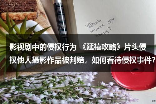 影视剧中的侵权行为 《延禧攻略》片头侵权他人摄影作品被判赔，如何看待侵权事件？（延禧攻略是哪个公司投资）-第1张图片-九妖电影