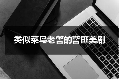 类似菜鸟老警的警匪美剧（类似菜鸟驿站的小生意）-第1张图片-九妖电影