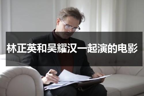 林正英和吴耀汉一起演的电影（林正英和吴镇宇合演的电影）-第1张图片-九妖电影