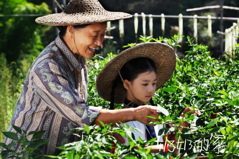 奶奶的家 Grandm's Home-第2张图片-九妖电影
