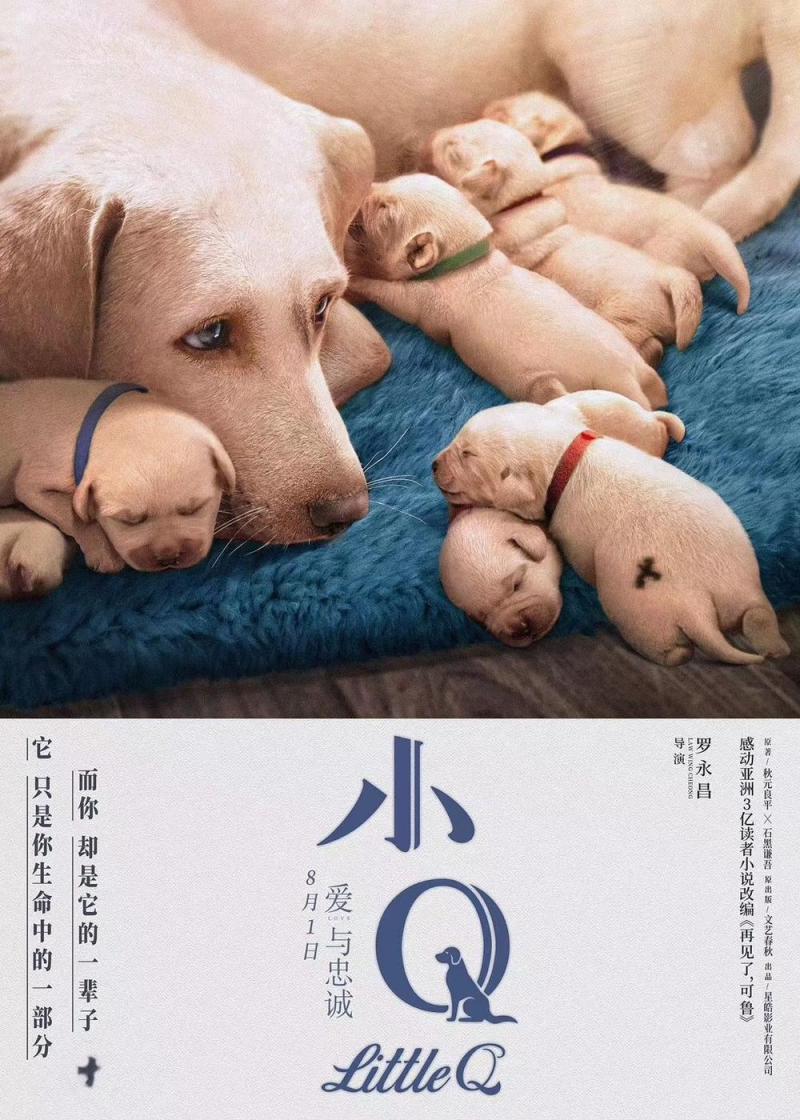 小Q Little Q-第2张图片-九妖电影