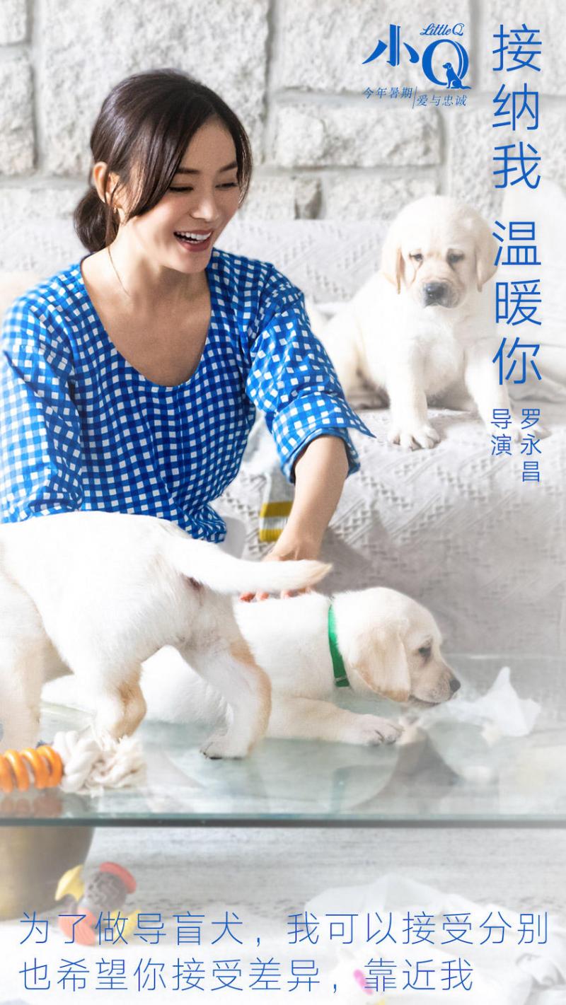 小Q Little Q-第5张图片-九妖电影