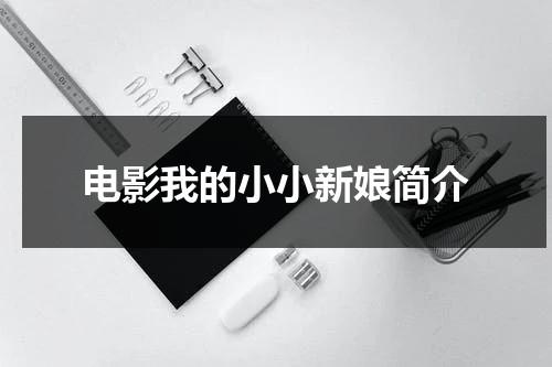 电影我的小小新娘简介（我的小小新娘电影解说完整版）-第1张图片-九妖电影