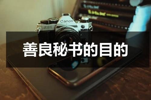 善良秘书的目的（激战的后厨2观看完整版）-第1张图片-九妖电影