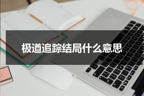 极道追踪结局什么意思（极道追杀说的什么）-第1张图片-九妖电影