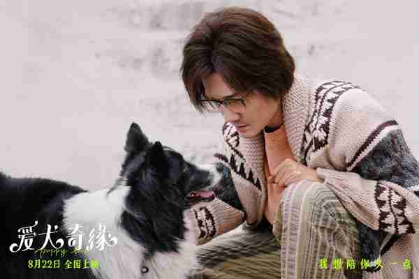 爱犬奇缘 Puppy Love-第3张图片-九妖电影