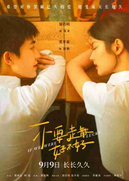 不要走散好不好  If We Were Lucky-第2张图片-九妖电影