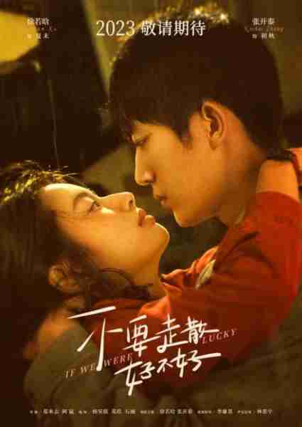 不要走散好不好  If We Were Lucky-第4张图片-九妖电影