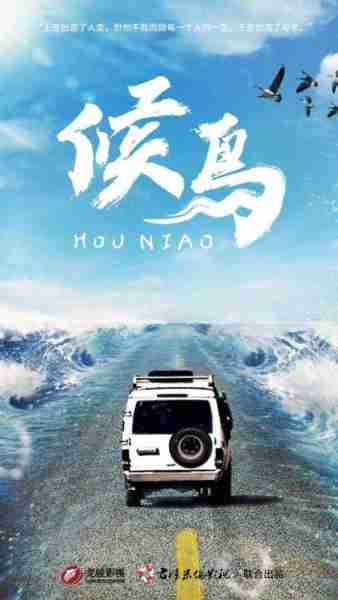 候鸟 Migratory Bird-第5张图片-九妖电影