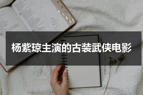 杨紫琼主演的古装武侠电影（杨紫琼主演的武打电影）-第1张图片-九妖电影