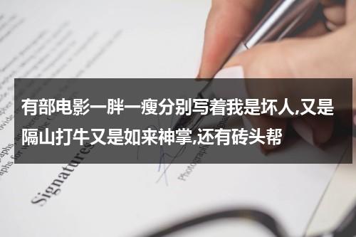 有部电影一胖一瘦分别写着我是坏人,又是隔山打牛又是如来神掌,还有砖头帮（香港电影一胖一瘦）-第1张图片-九妖电影