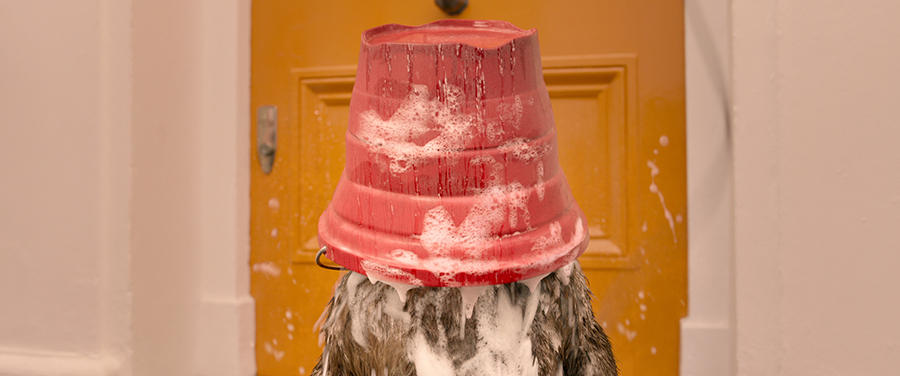 帕丁顿熊2 Paddington 2-第4张图片-九妖电影