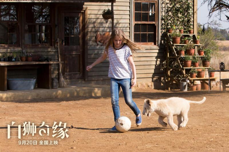 白狮奇缘 Mia and the White Lion-第4张图片-九妖电影