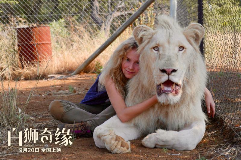 白狮奇缘 Mia and the White Lion-第3张图片-九妖电影