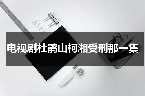 电视剧杜鹃山柯湘受刑那一集（杜鹃山柯湘美篇）-第1张图片-九妖电影