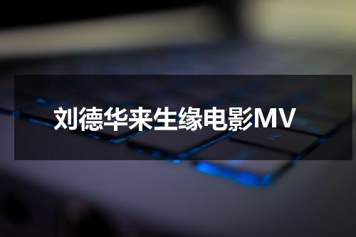 刘德华来生缘电影MV（刘德华来生缘电影免费观看）-第1张图片-九妖电影