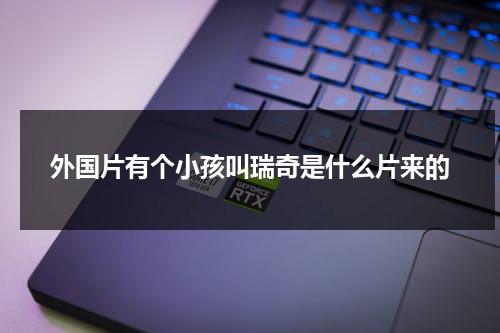 外国片有个小孩叫瑞奇是什么片来的（电影瑞奇小男孩去哪了）-第1张图片-九妖电影