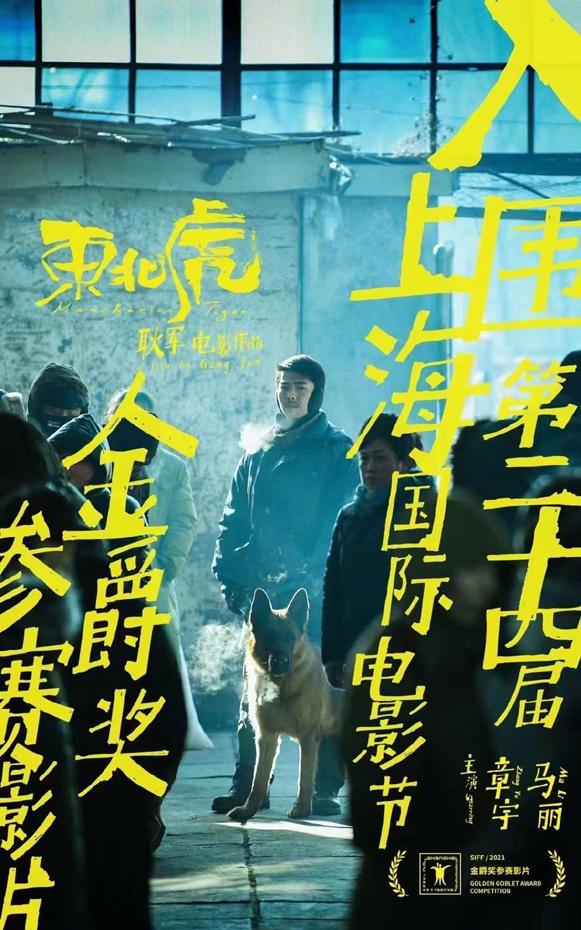 东北虎 Manchuria Tiger-第5张图片-九妖电影