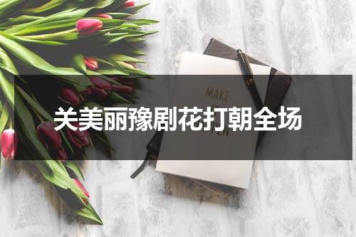 关美丽豫剧花打朝全场（豫剧关美丽简介）-第1张图片-九妖电影