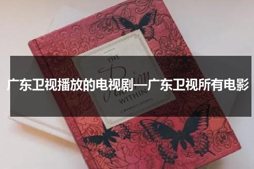 广东卫视播放的电视剧—广东卫视所有电影（广东卫视电视剧节目有哪些）-第1张图片-九妖电影