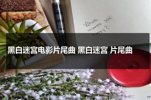 黑白迷宫电影片尾曲 黑白迷宫 片尾曲（黑白迷宫花絮）-第1张图片-九妖电影
