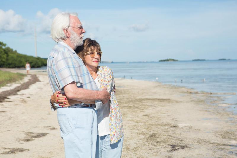 爱在记忆消逝前 The Leisure Seeker-第2张图片-九妖电影