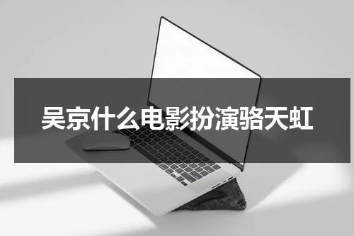 吴京什么电影扮演骆天虹（吴京演的抗日剧）-第1张图片-九妖电影