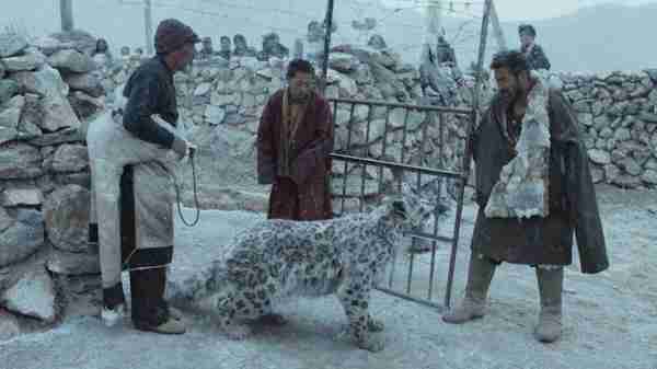 雪豹 Snow Leopard-第5张图片-九妖电影