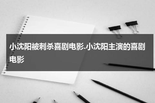 小沈阳被刺杀喜剧电影.小沈阳主演的喜剧电影（小沈阳大喊）-第1张图片-九妖电影