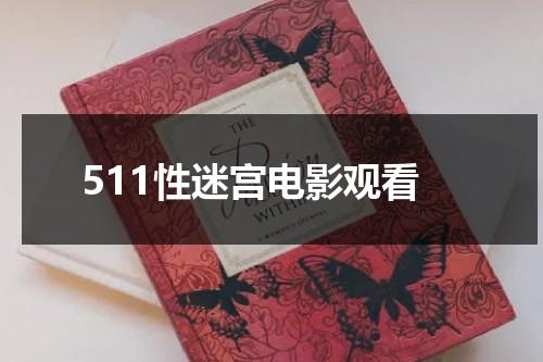 511性迷宫电影观看-第1张图片-九妖电影