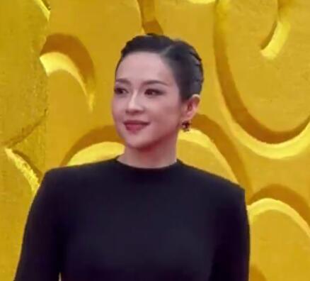 章子怡亮相华表奖红毯 气场全开-第1张图片-九妖电影