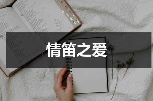 情笛之爱（dj情歌广场舞）-第1张图片-九妖电影