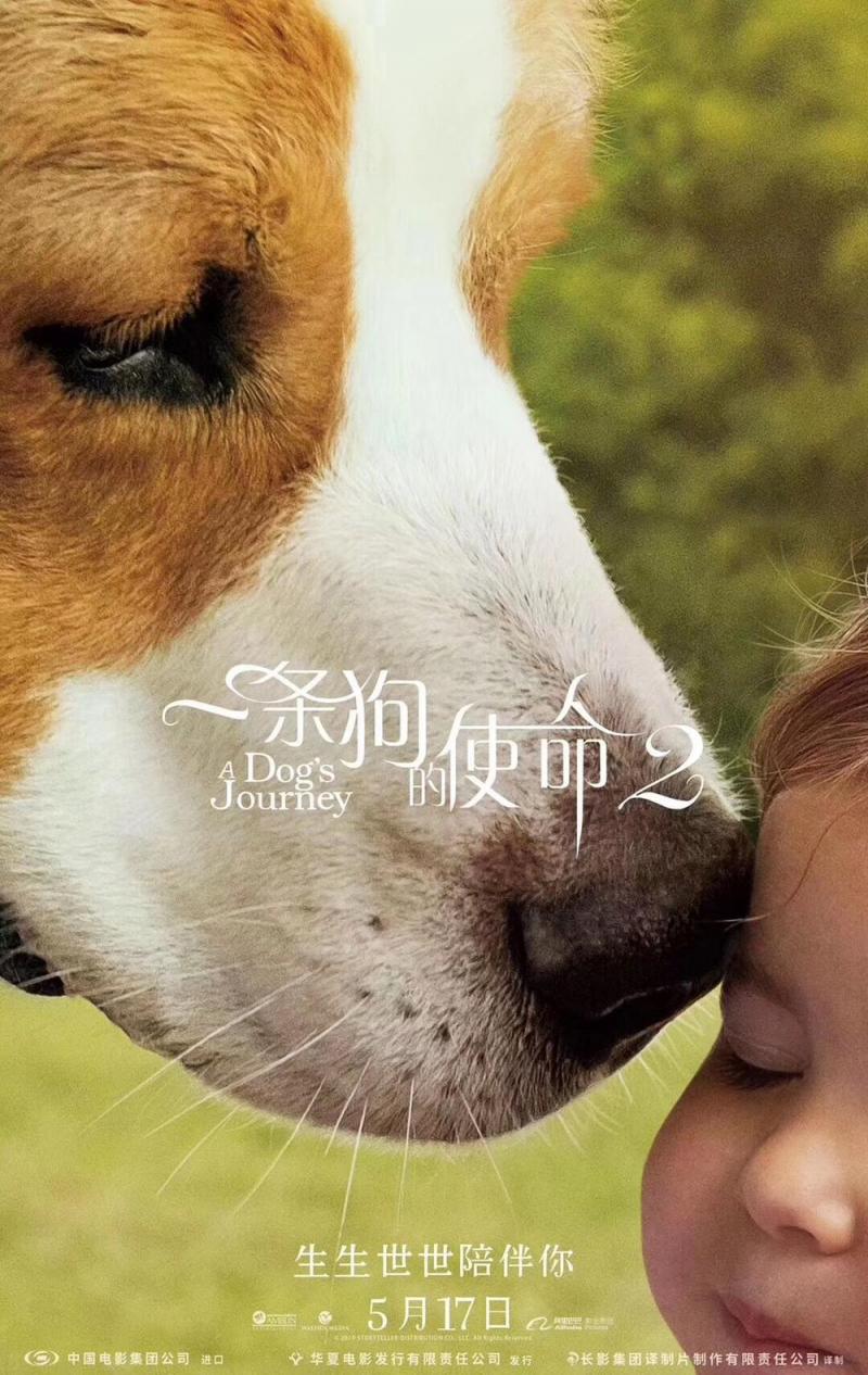一条狗的使命2 A Dog's Journey-第3张图片-九妖电影