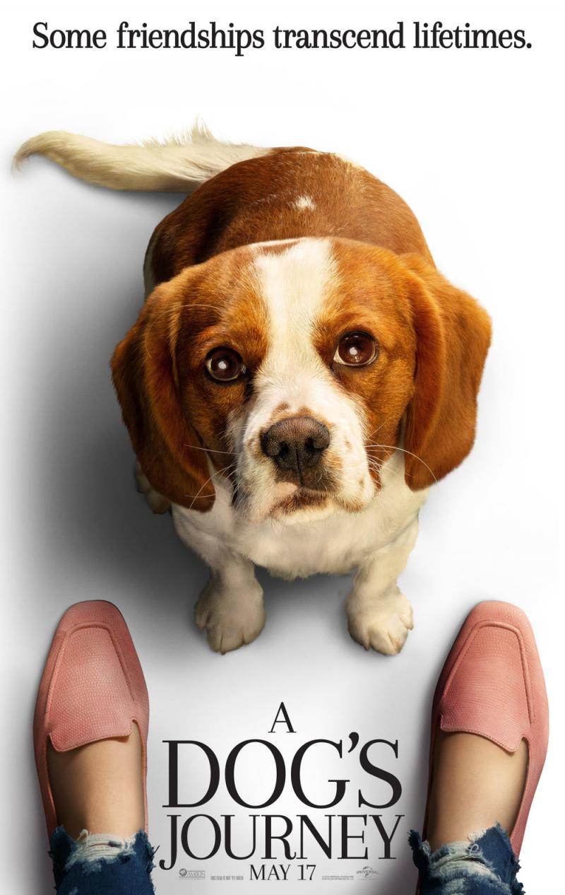 一条狗的使命2 A Dog's Journey-第5张图片-九妖电影