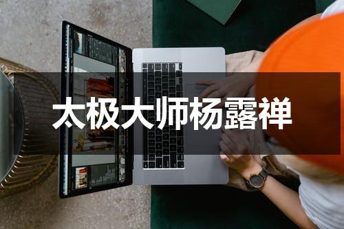 太极大师杨露禅（太极拳杨露禅介绍）-第1张图片-九妖电影