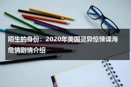 陌生的身份：2020年美国灵异惊悚谍海危情剧情介绍（电视剧陌生的海岸土豆视频）-第1张图片-九妖电影
