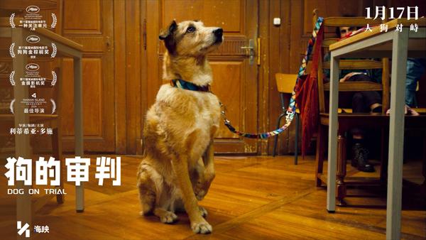 狗的审判 Dog on Trial-第5张图片-九妖电影