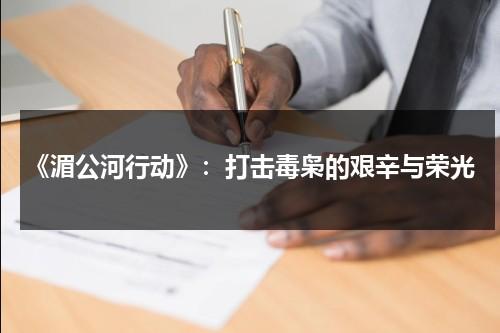 《湄公河行动》：打击毒枭的艰辛与荣光（湄公河行动行动组）-第1张图片-九妖电影