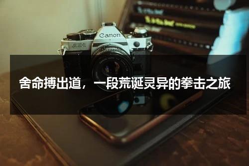 舍命搏出道，一段荒诞灵异的拳击之旅（拳击惨烈）-第1张图片-九妖电影
