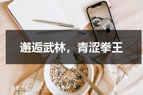 邂逅武林，青涩拳王-第1张图片-九妖电影