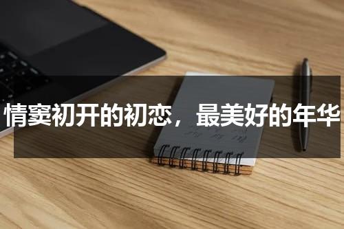 情窦初开的初恋，最美好的年华（情窦初开时的感情）-第1张图片-九妖电影