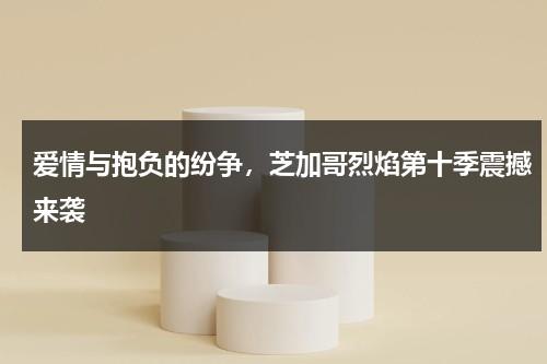 爱情与抱负的纷争，芝加哥烈焰第十季震撼来袭（芝加哥烈焰第十季剧情）-第1张图片-九妖电影