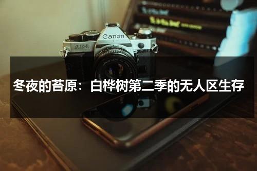 冬夜的苔原：白桦树第二季的无人区生存（形容冬天的白桦的四字词语）-第1张图片-九妖电影