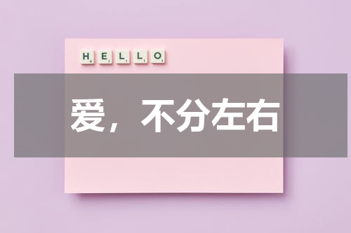 爱，不分左右（不分左右的人）-第1张图片-九妖电影