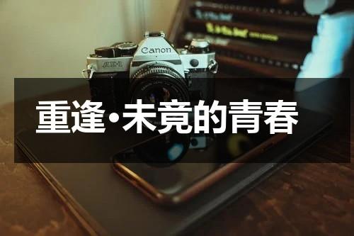 重逢·未竟的青春（重逢未晚txt百度）-第1张图片-九妖电影