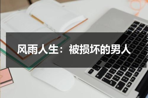 风雨人生：被损坏的男人（被毁了的人生）-第1张图片-九妖电影