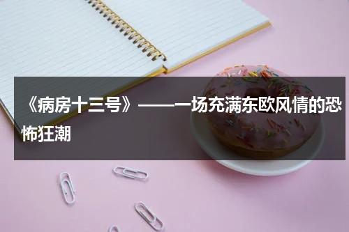 《病房十三号》——一场充满东欧风情的恐怖狂潮（13号病房游戏说了什么）-第1张图片-九妖电影